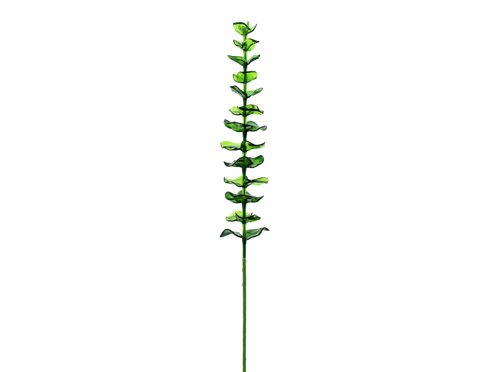 EUROPALMS Kristalleukalyptus, Kunstpflanze, grün, 81cm 12x