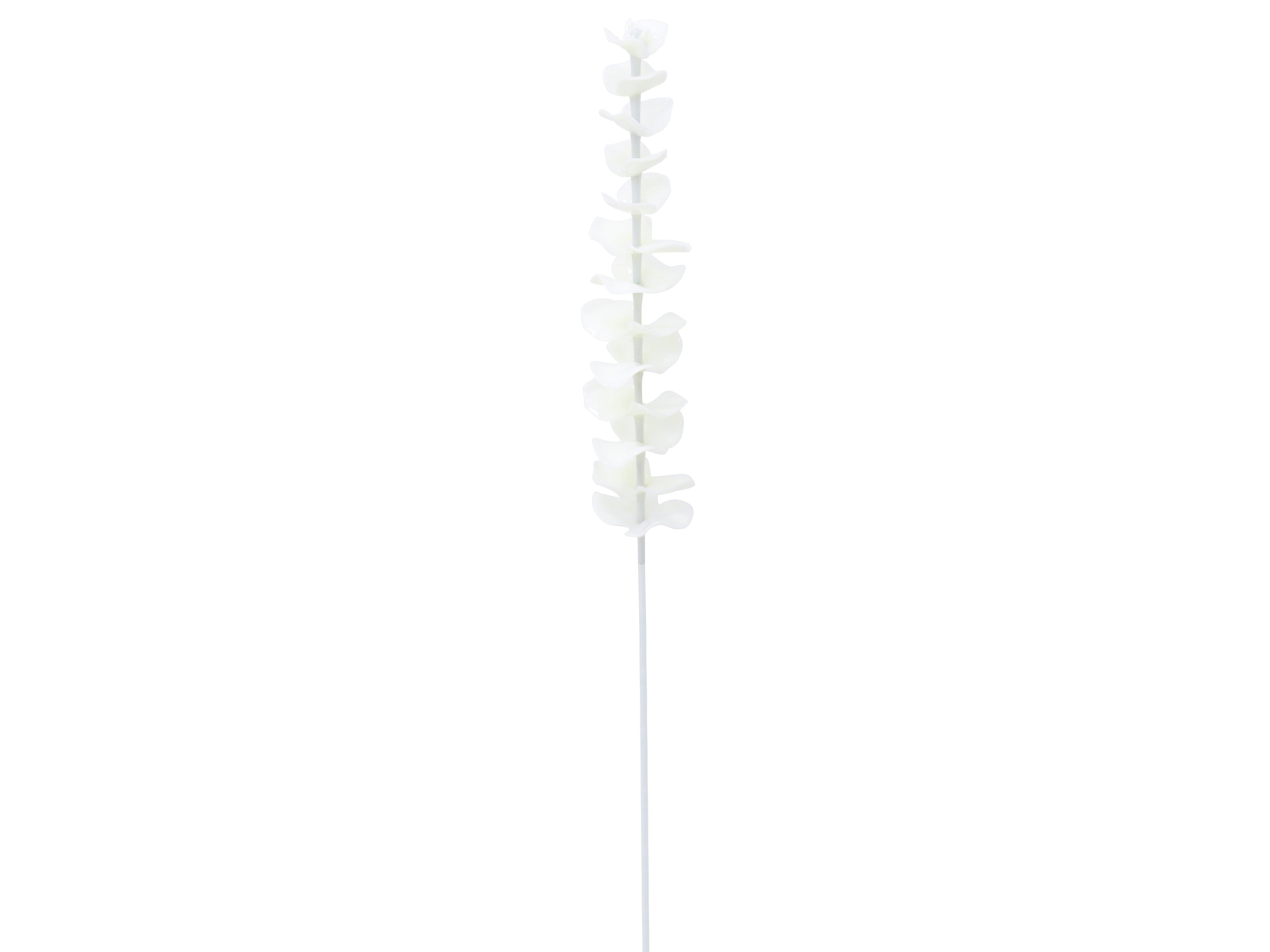 EUROPALMS Kristalleukalyptus, Kunstpflanze, weiß, 81cm 12x