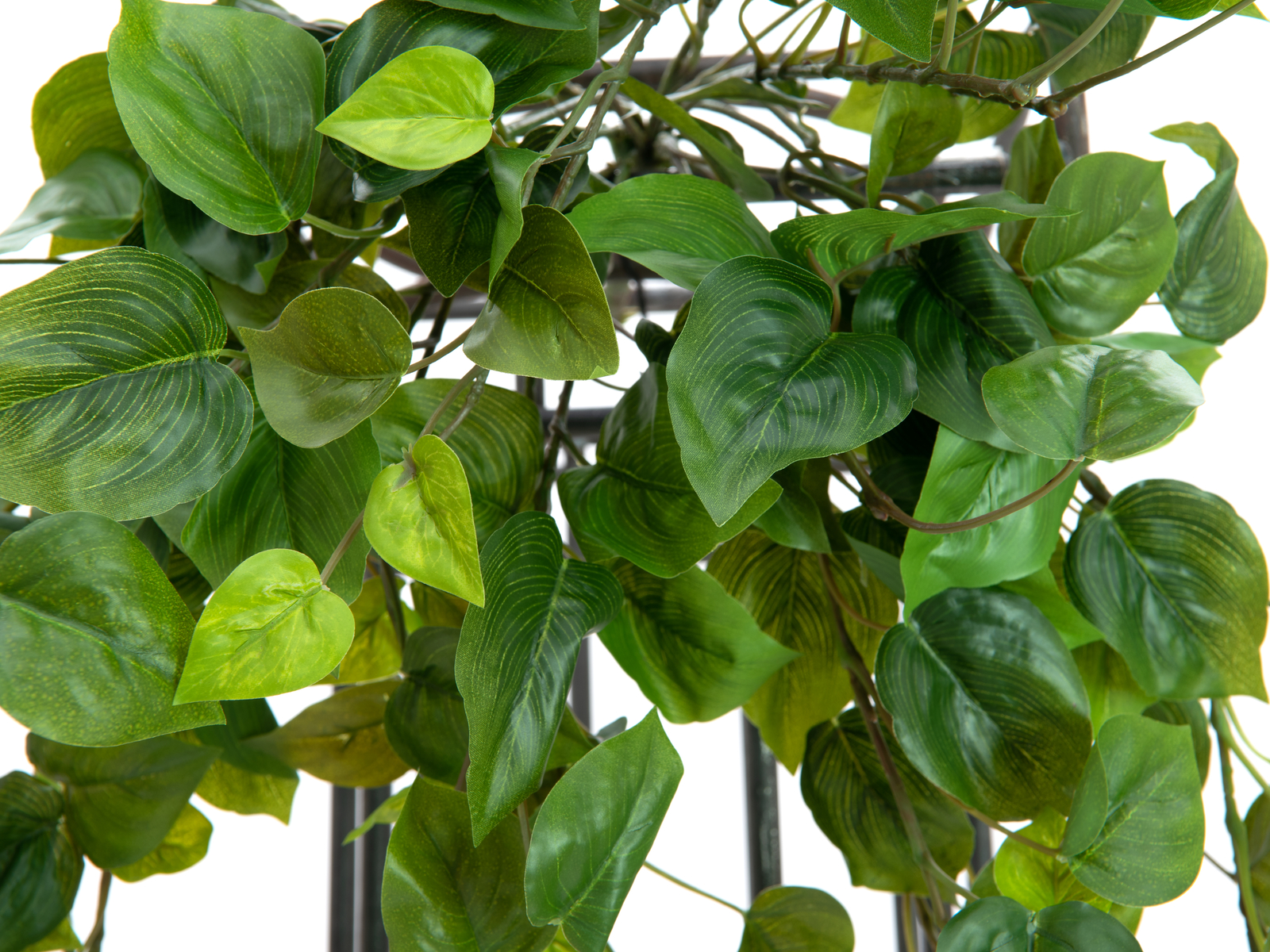 EUROPALMS Philodendronbusch Premium, künstlich, 50 cm