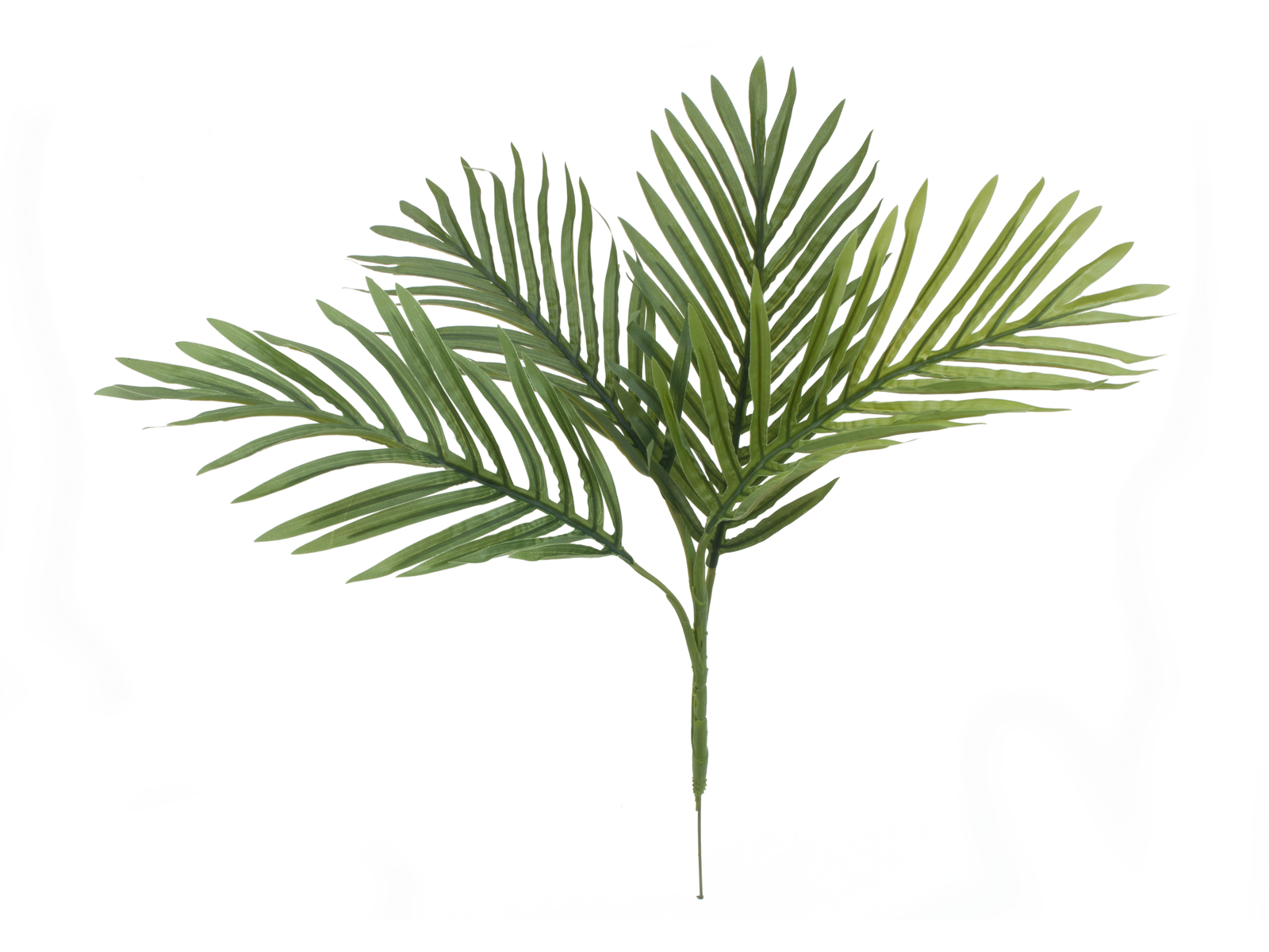 EUROPALMS Areca Palmen-Setzling, Kunstpflanze, 60cm