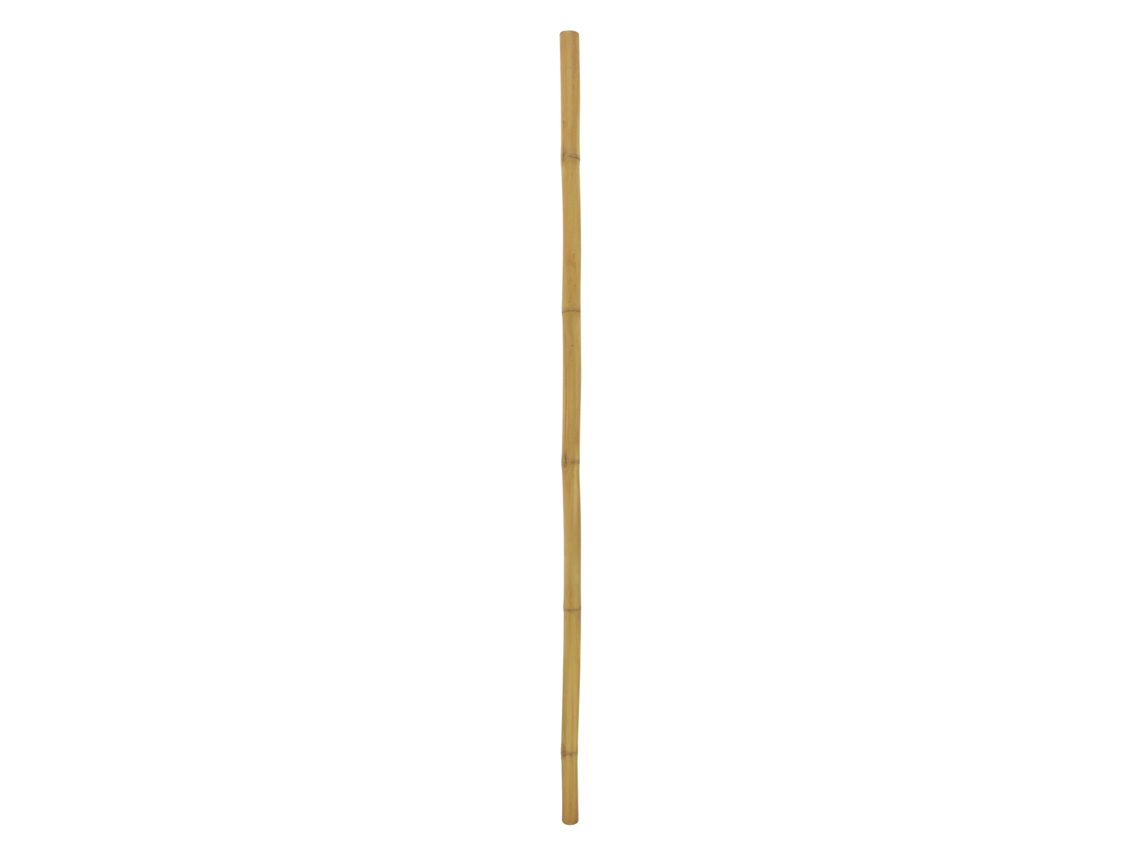 EUROPALMS Bambusrohr, Ø=5cm, 200cm