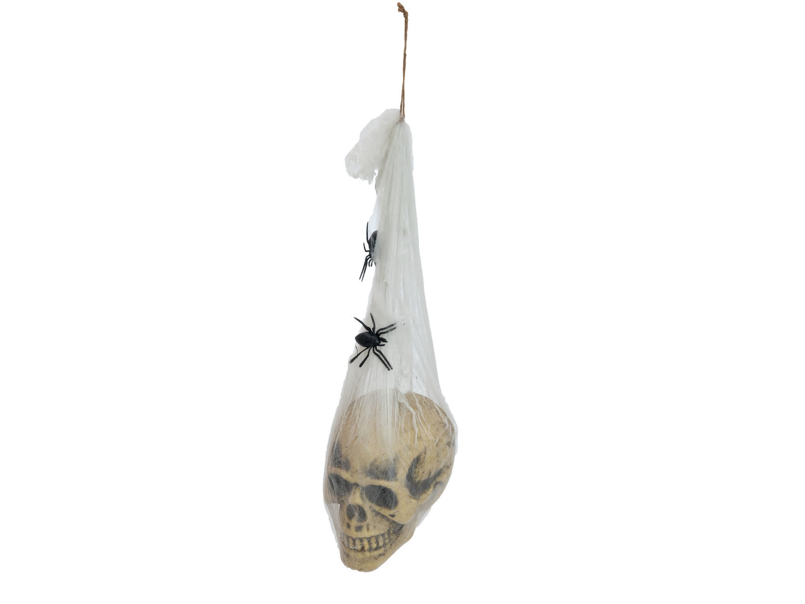 EUROPALMS Halloween Figur Totenkopf im Spinnennetz, 30cm