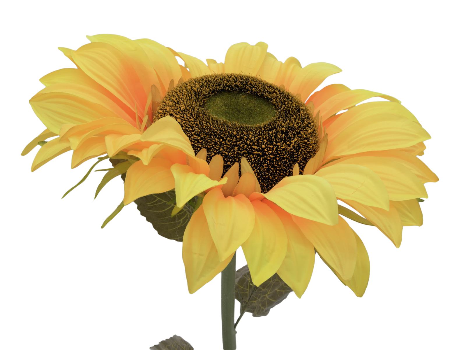EUROPALMS Sonnenblume, Kunstpflanze, 130cm