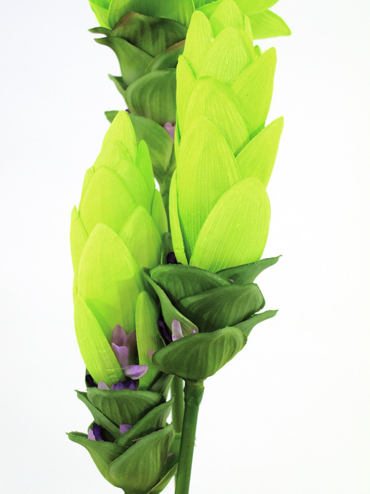 EUROPALMS Ingwerlilie, Kunstpflanze, 95cm