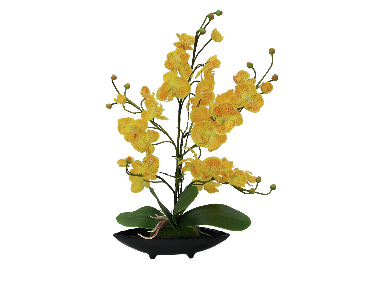 EUROPALMS Orchideen-Arrangement (EVA), künstlich, gelb