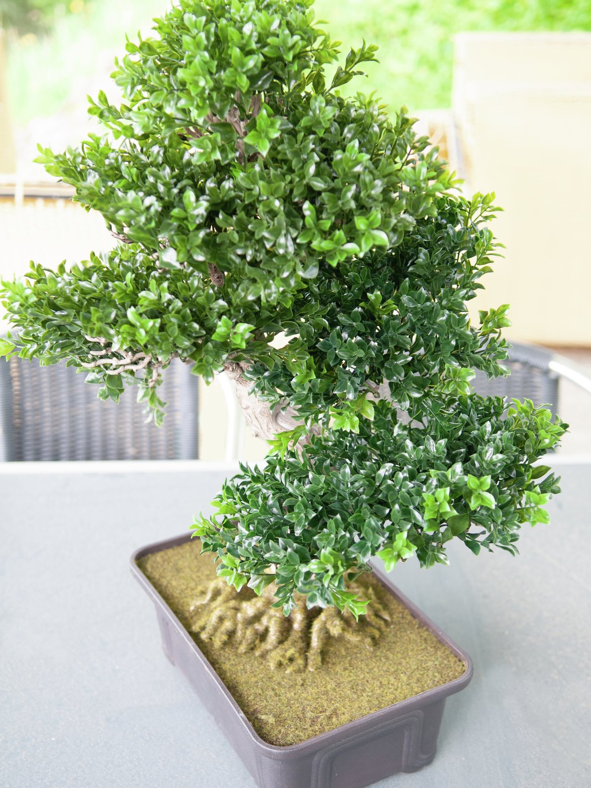Buchsbonsai, Kunstpflanze, 61 cm - europalms