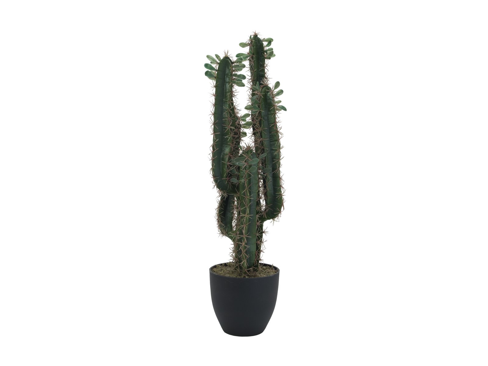 Mexikanischer Kaktus mit Blättern, Kunstpflanze, 75cm - europalms