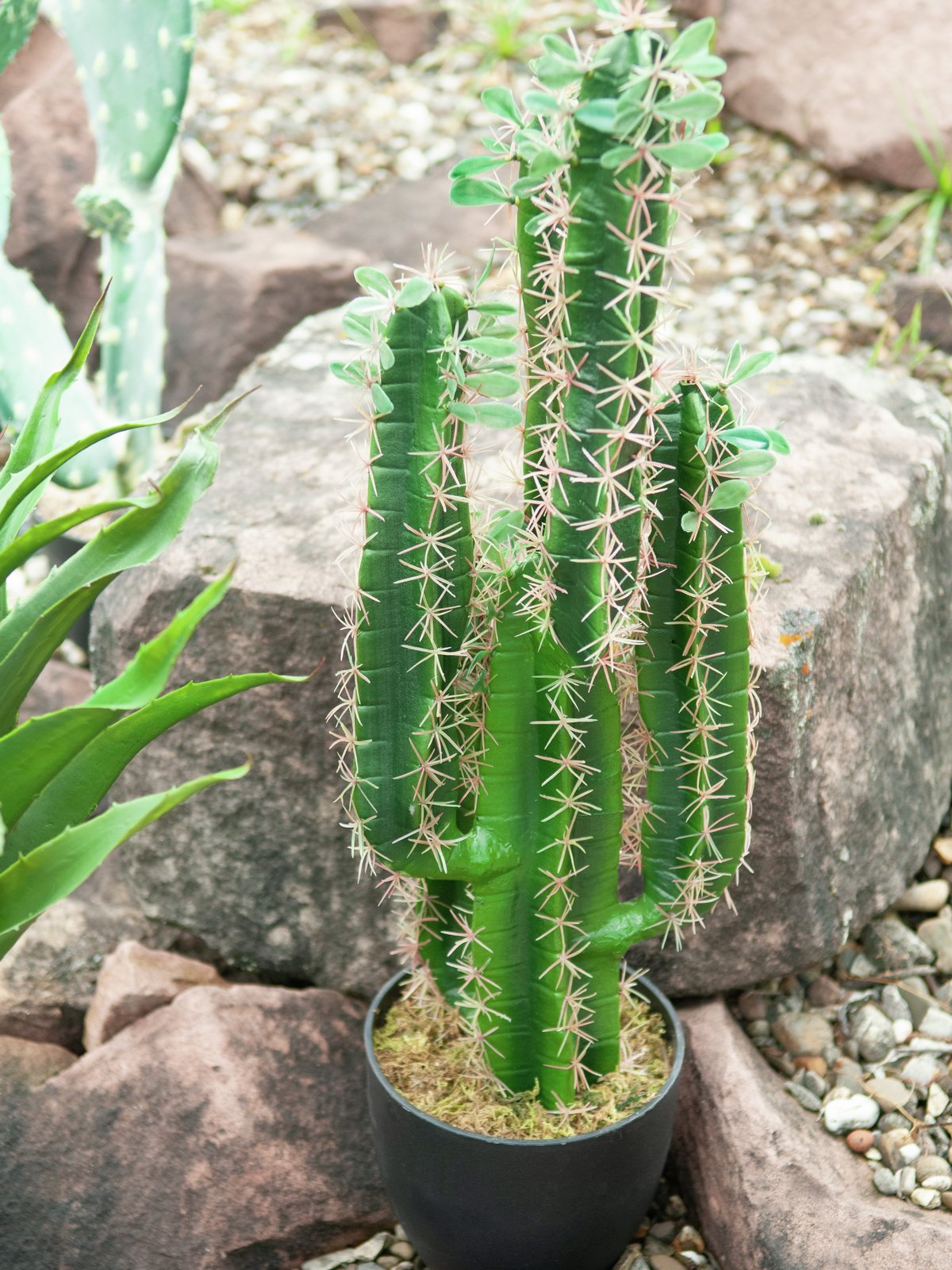 Mexikanischer Kaktus, Kunstpflanze, grün, 123cm - europalms
