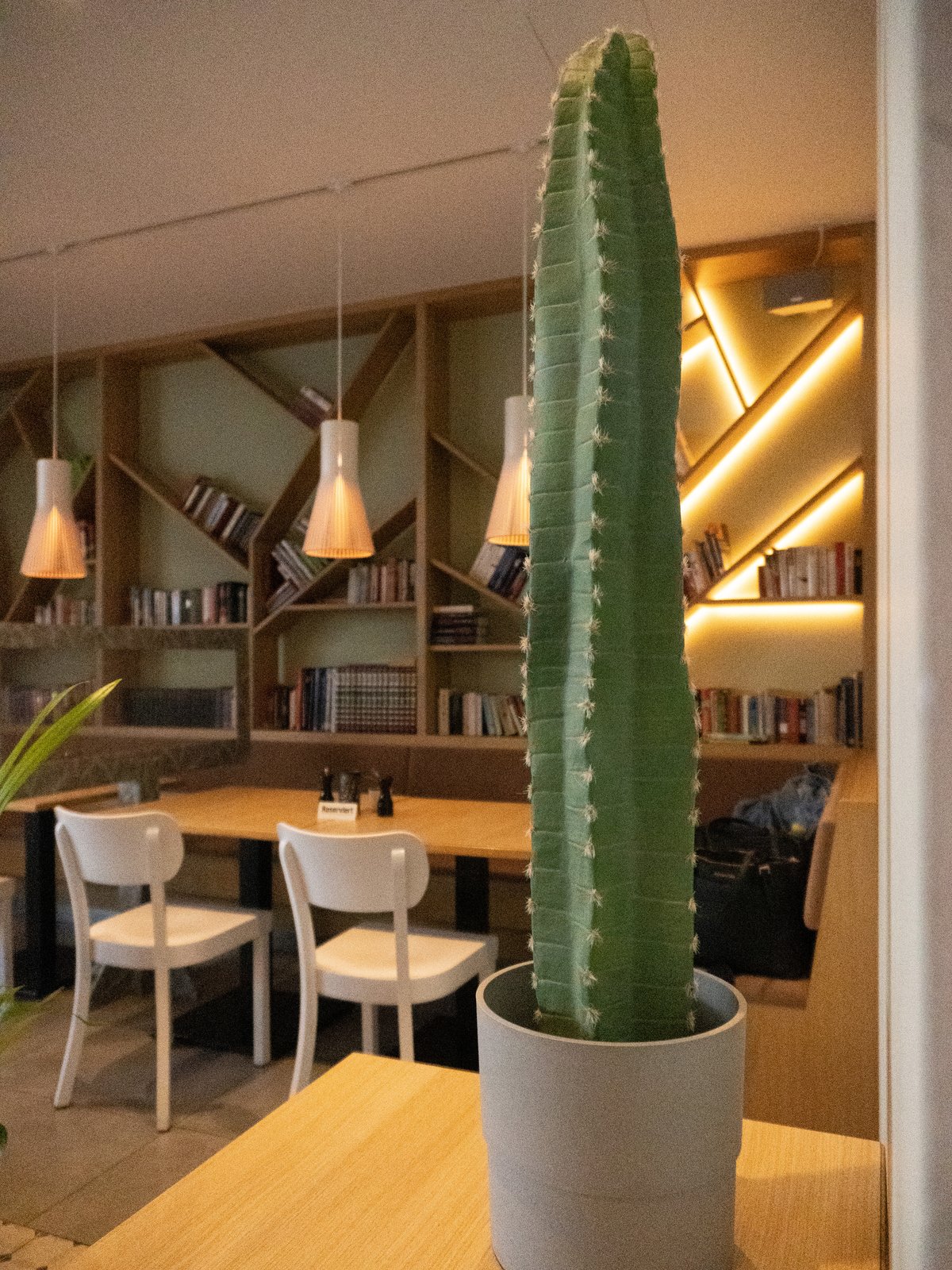 Mexikanischer Kaktus, Kunstpflanze, grün, 173cm - europalms