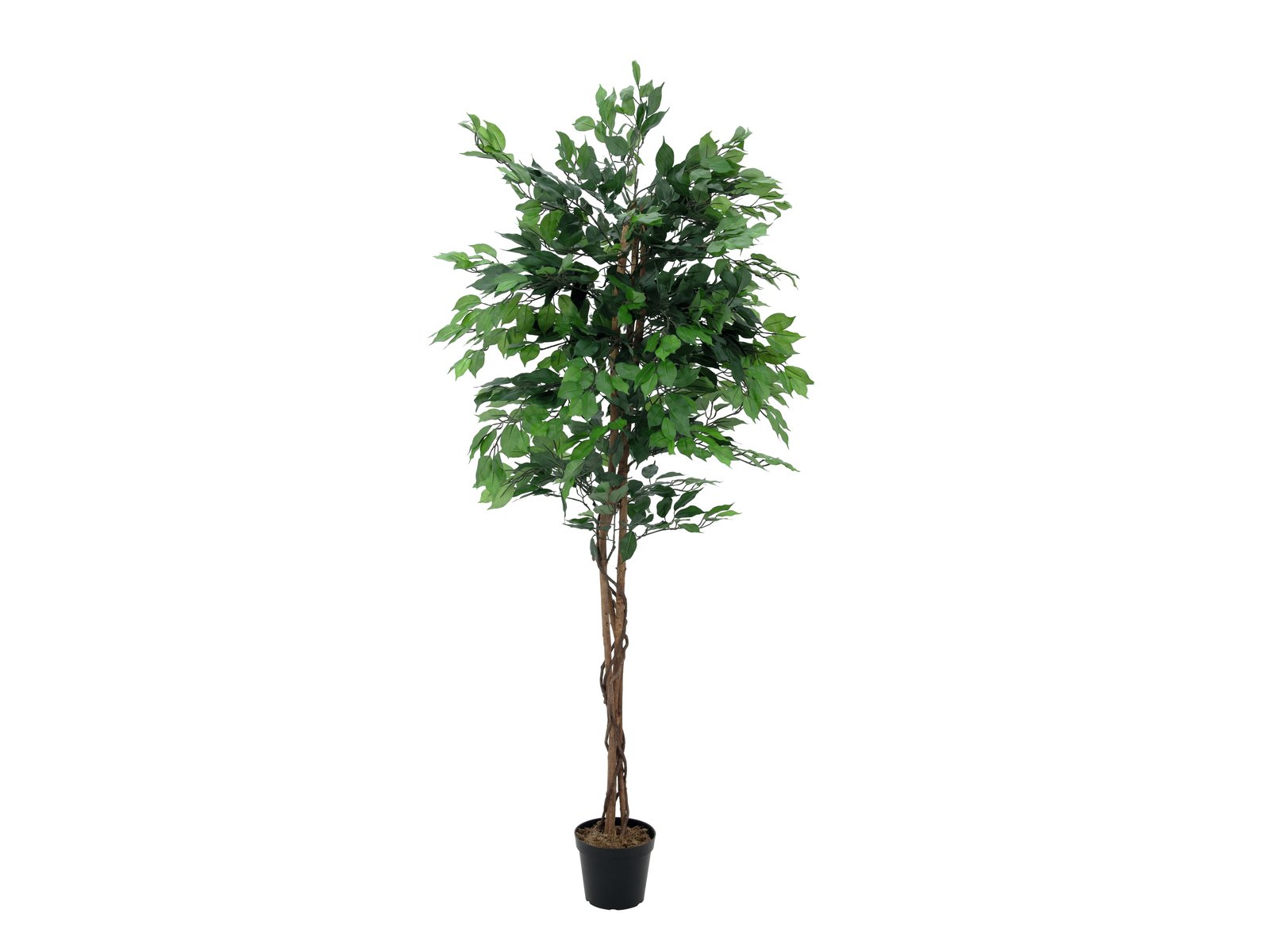 Ficus Tree Multi Trunk, artificial plant, 21cm   europalms