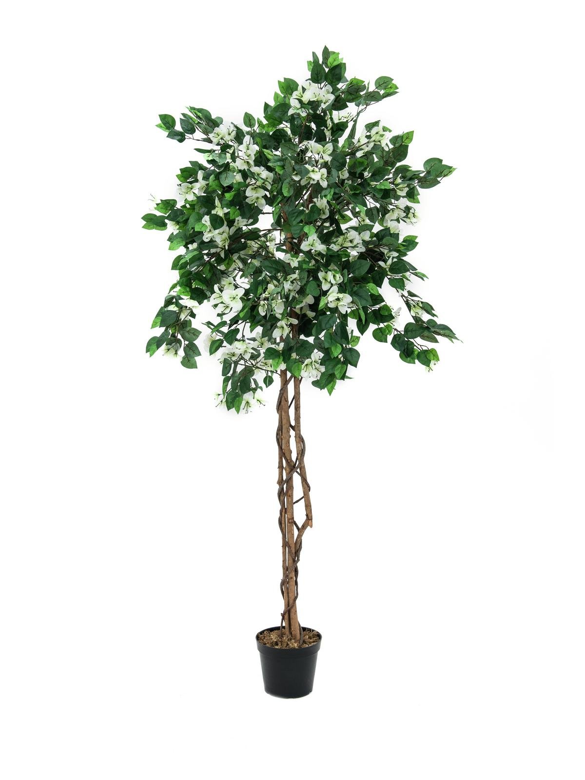 EUROPALMS Bougainvillea, Kunstpflanze, weiß, 180cm