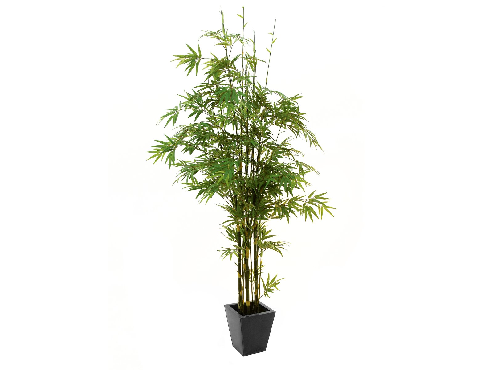 EUROPALMS Bambus Dunkelstamm, Kunstpflanze 240cm