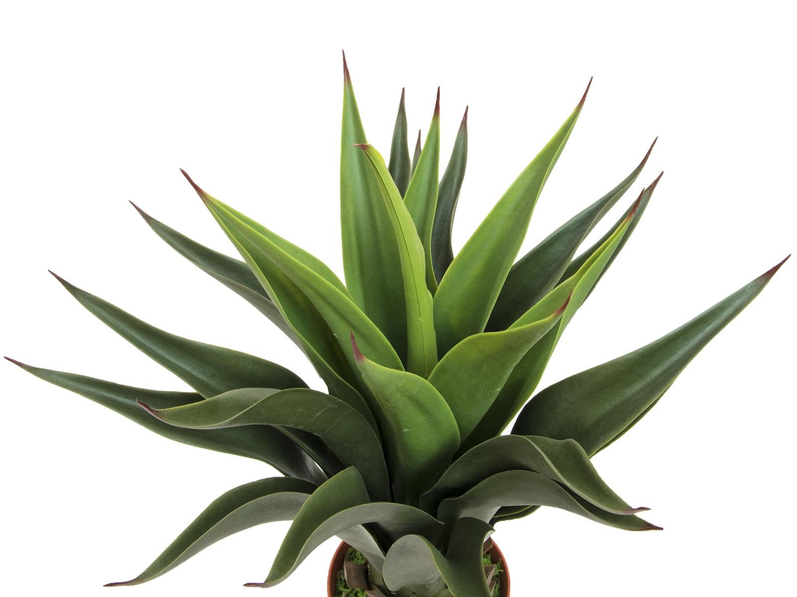 Yucca bush, dark green, artificial plant, 50cm - europalms