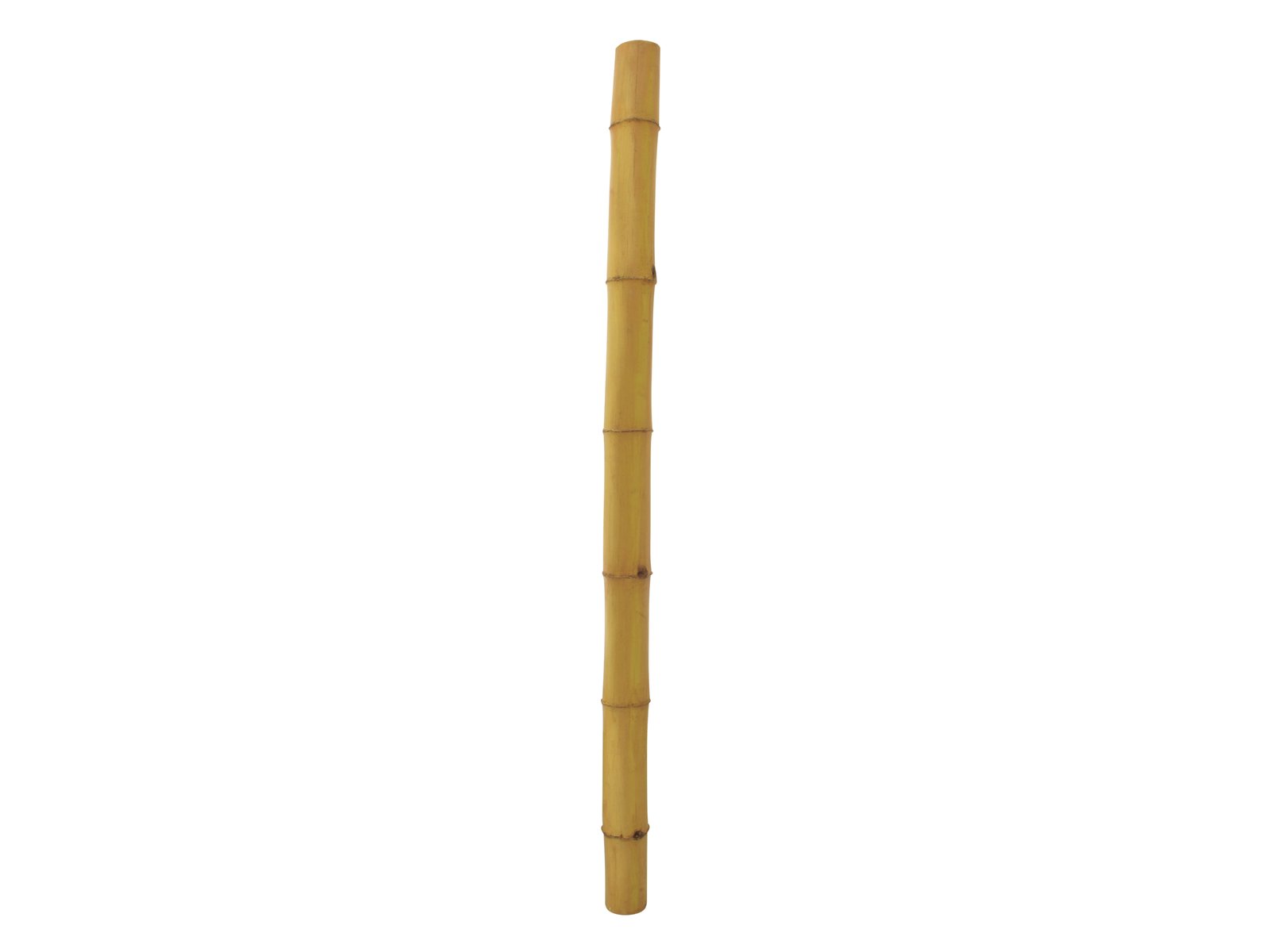 EUROPALMS Bambusrohr, Ø=14cm, 200cm