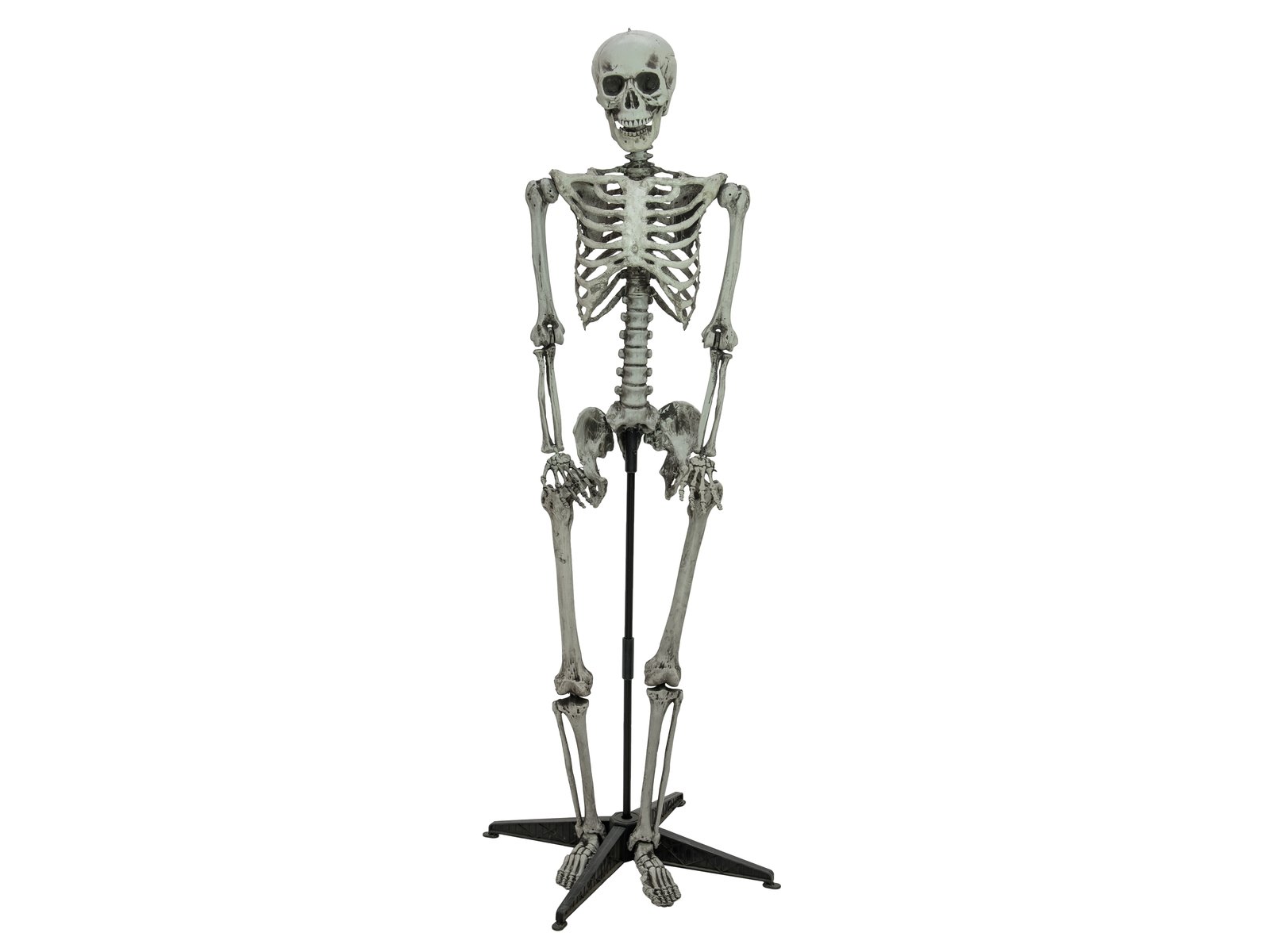 Halloween Skelett stehend, 160cm - europalms
