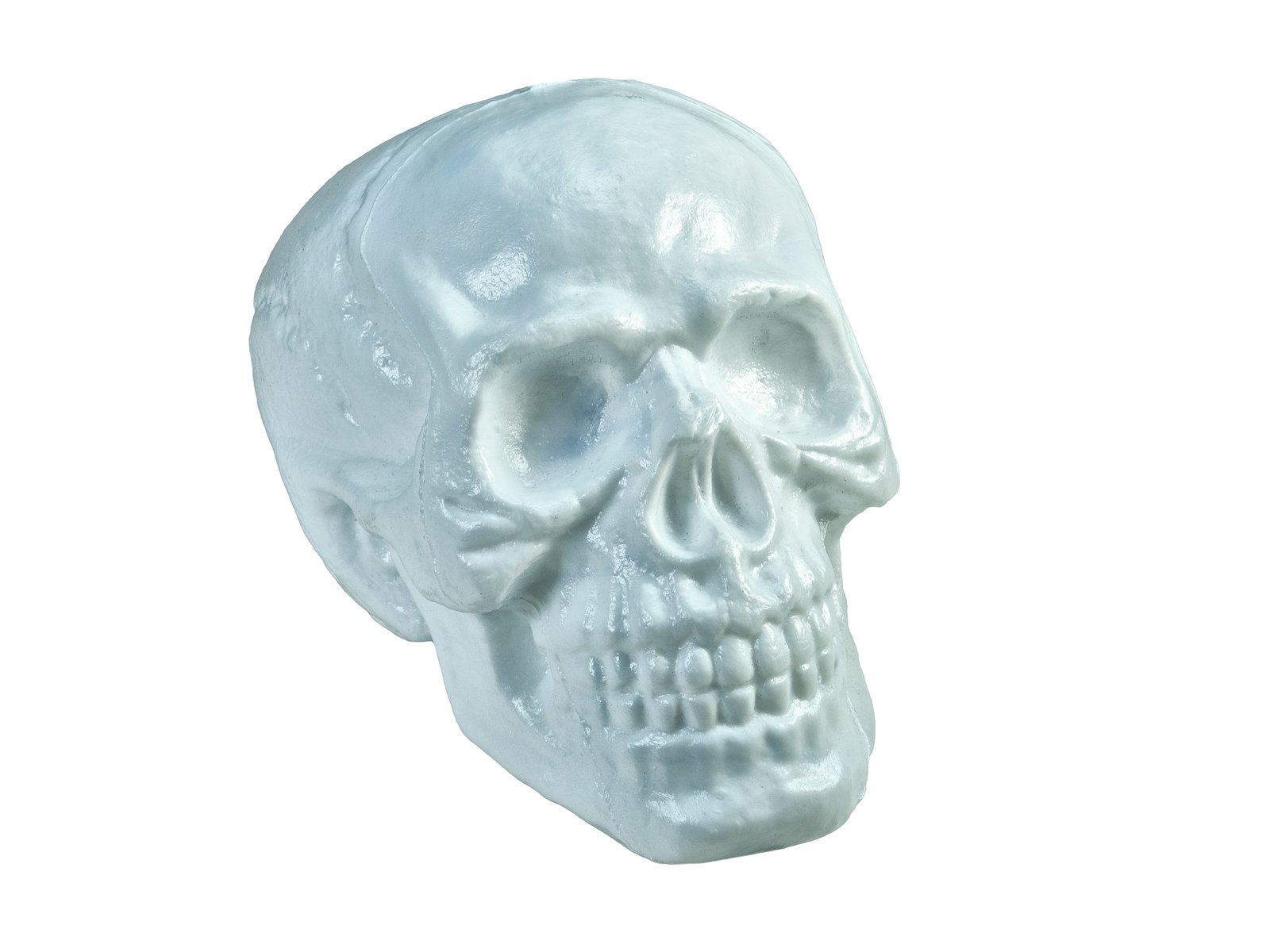 Halloween Skull, 31x22x22cm - europalms