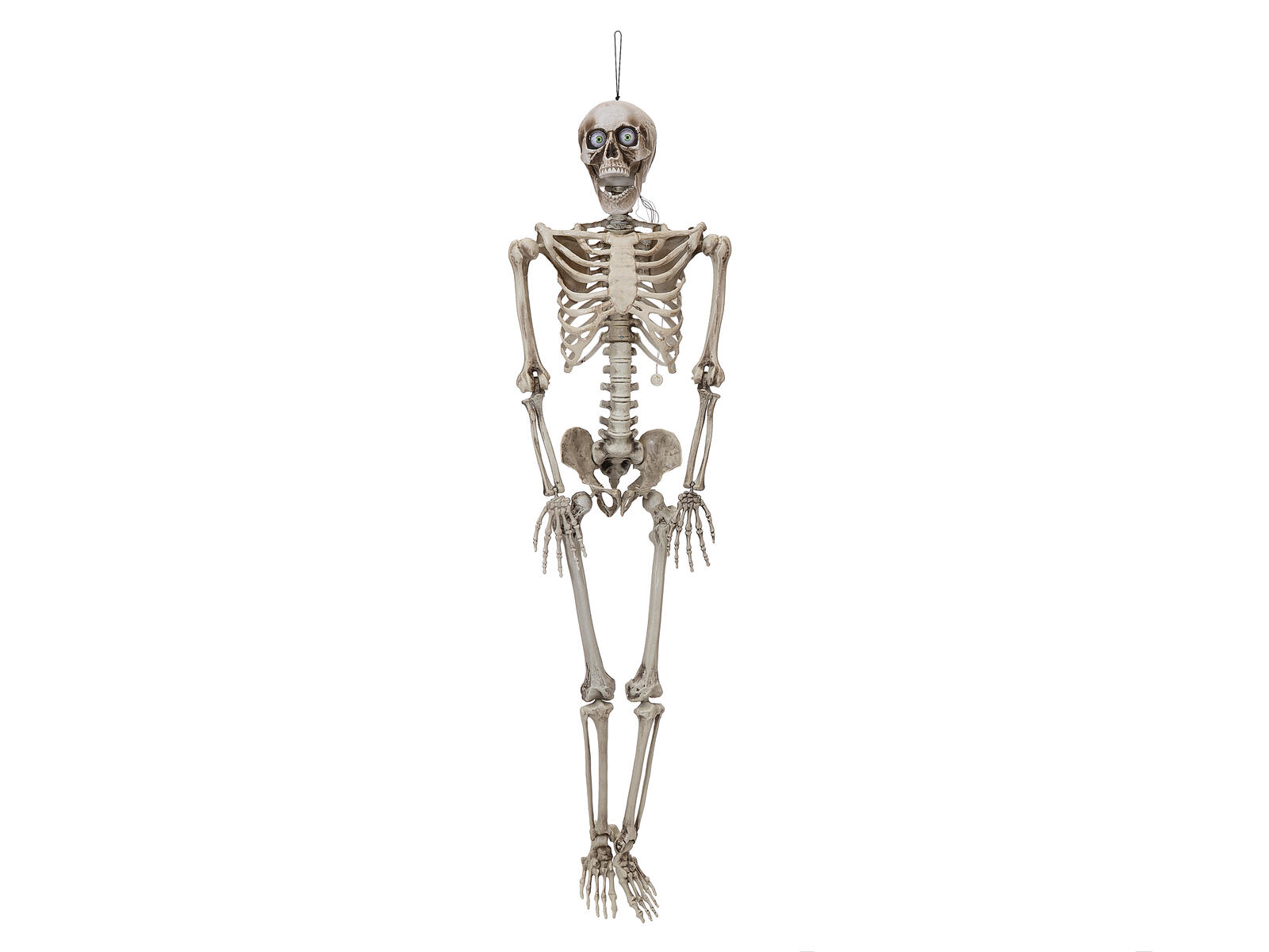 EUROPALMS Halloween Figur Skelett formbar, animiert, 160cm