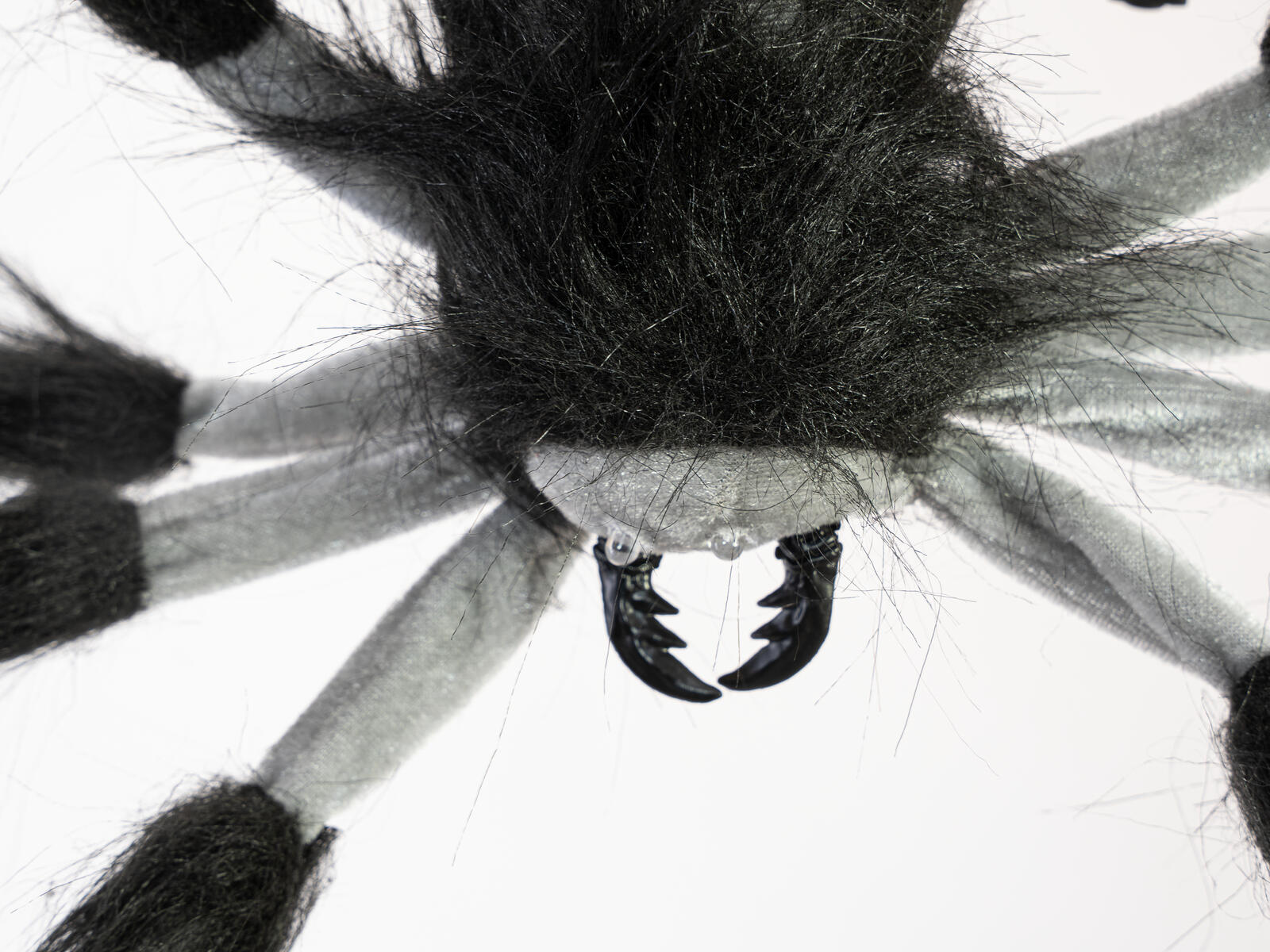 EUROPALMS Halloween Abseilende Dekospinne, animiert, 60cm