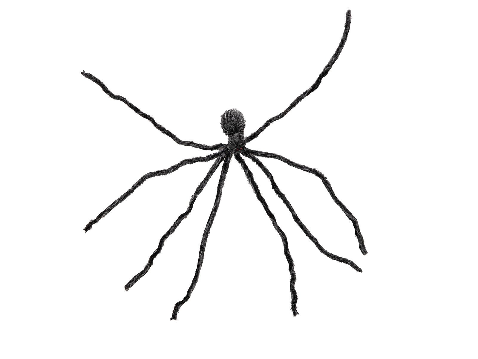 EUROPALMS Halloween Riesenspinne, grau, 230cm