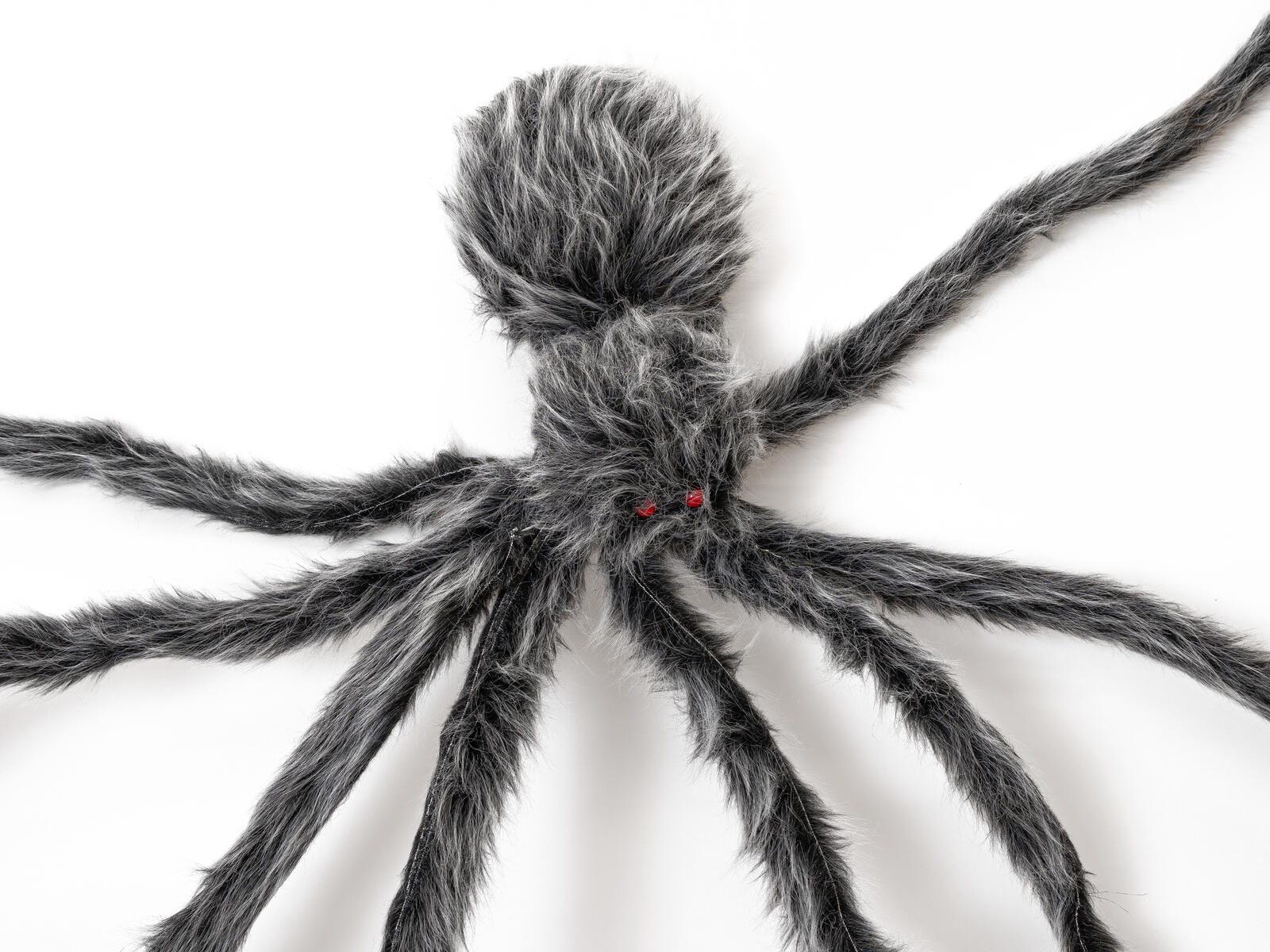 EUROPALMS Halloween Riesenspinne, grau, 230cm