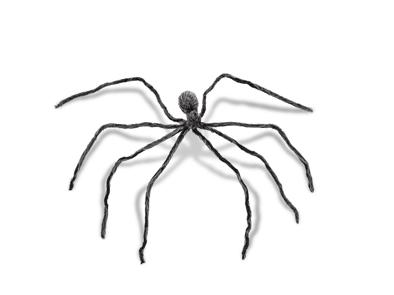 EUROPALMS Halloween Riesenspinne, grau, 230cm