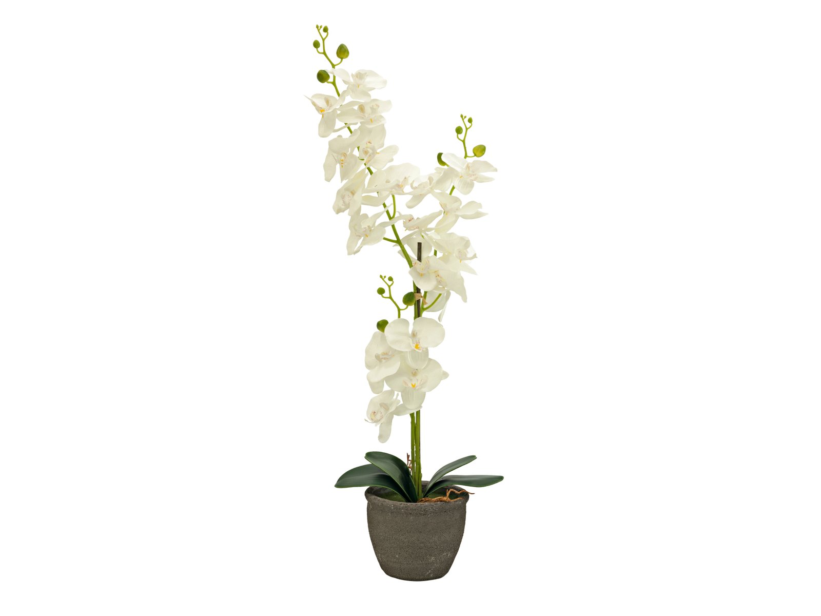 Orchidée, plante artificielle, crème, 80 cm - europalms