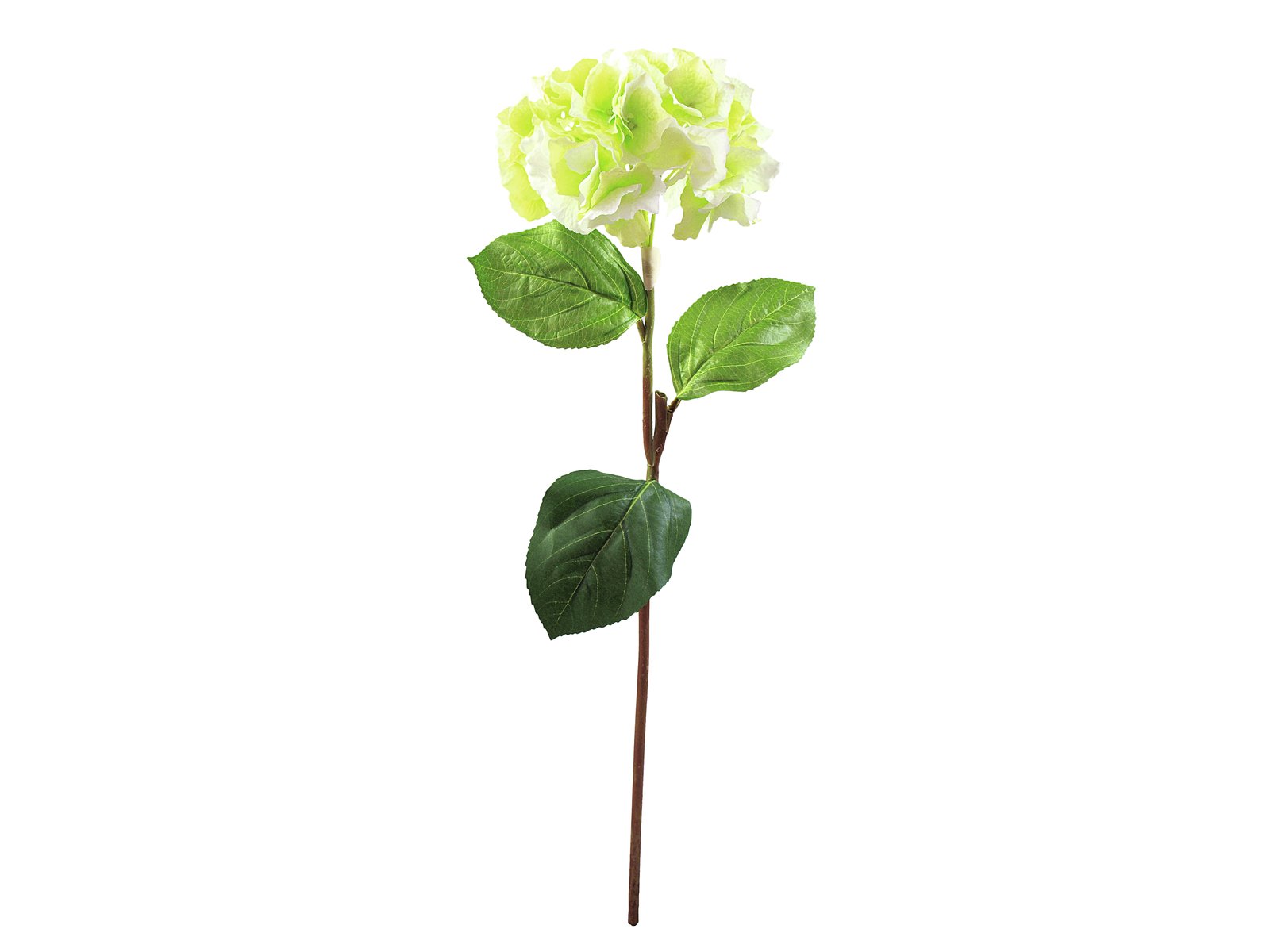 EUROPALMS Hortensienzweig, künstlich, grün, 76cm***Artikel nicht verfügbar***