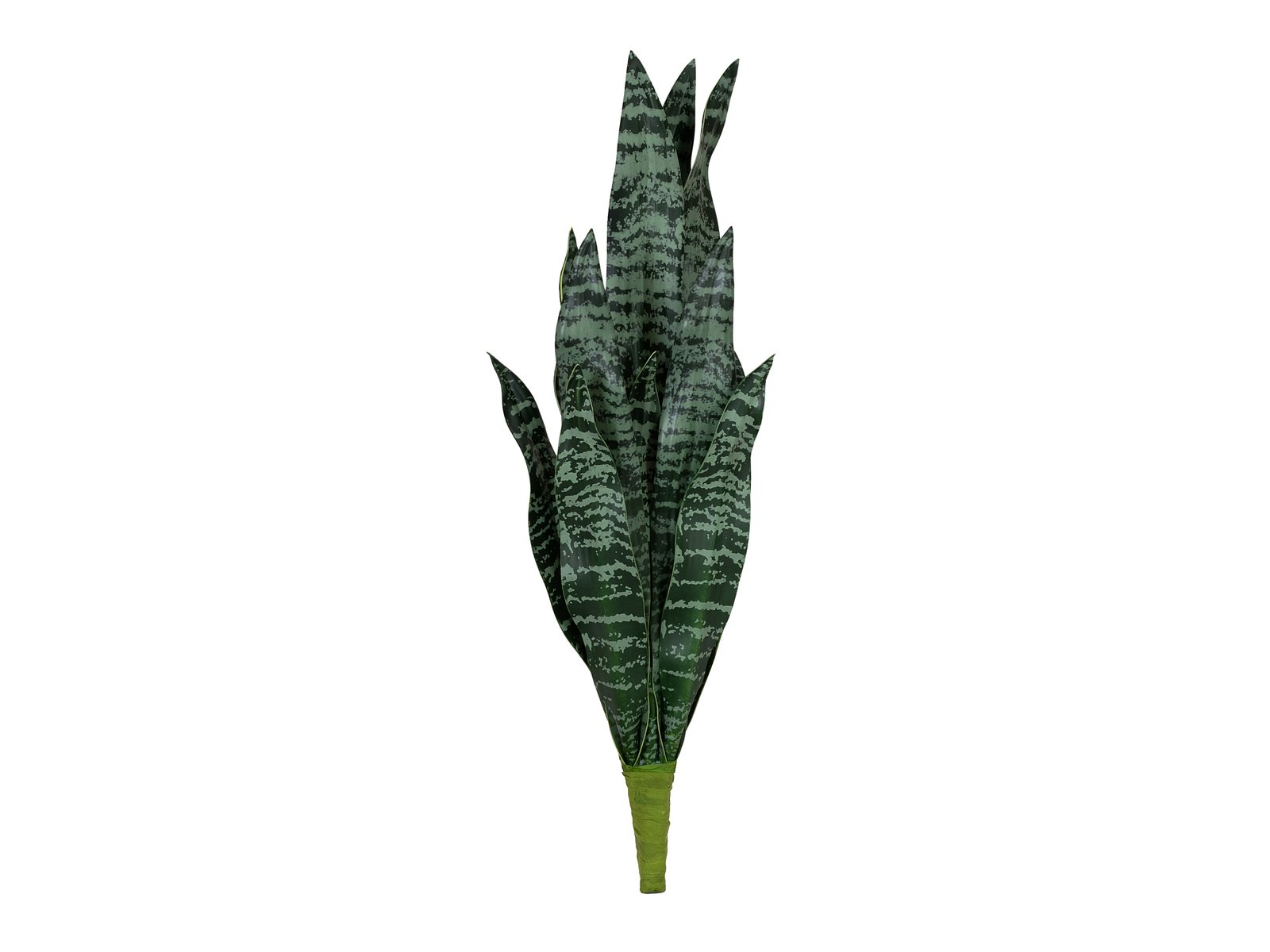 EUROPALMS Bogenhanf (EVA), künstlich, grün, 60cm