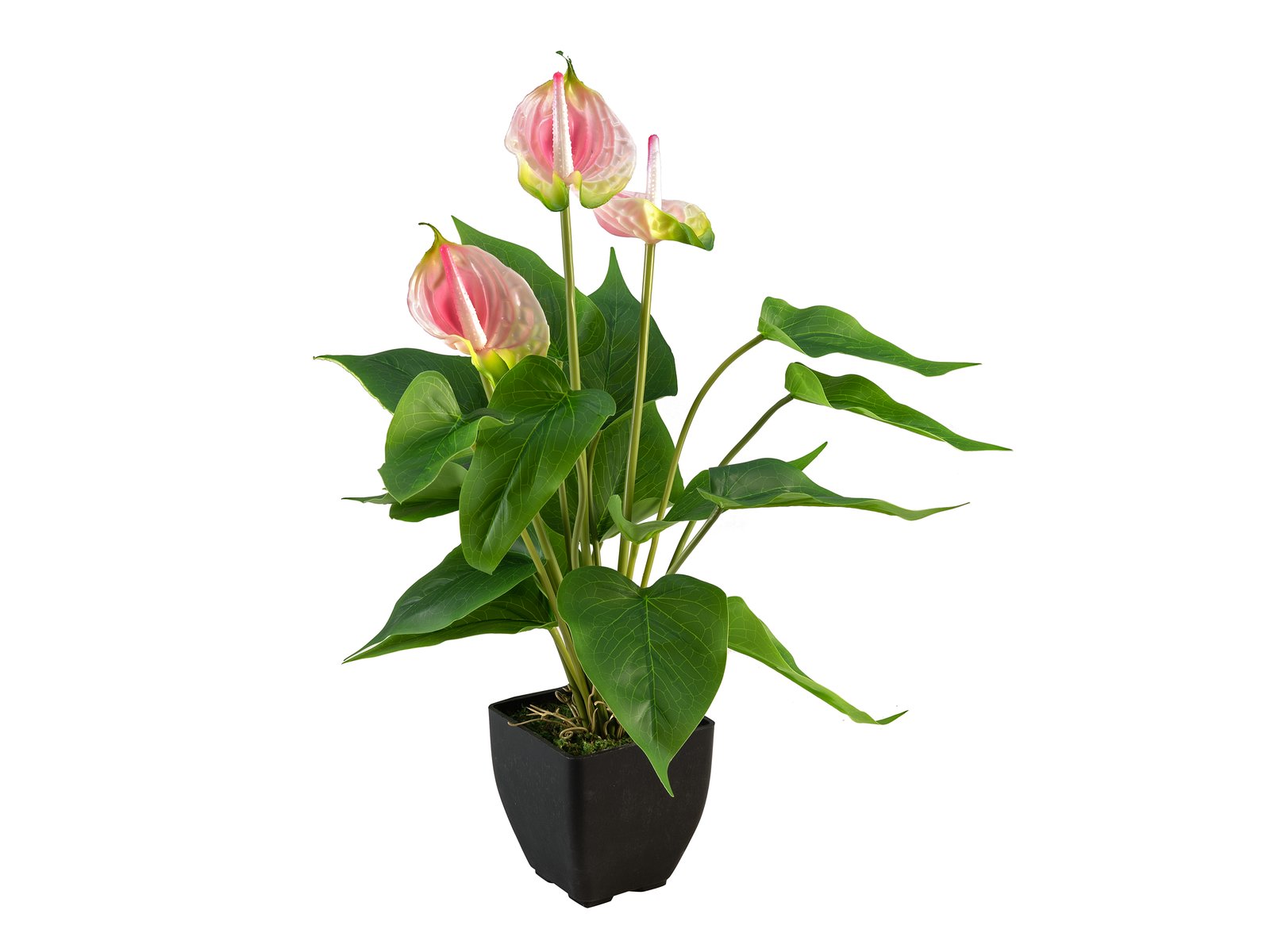 Kunstpflanze, pink Anthurie, weiß europalms -