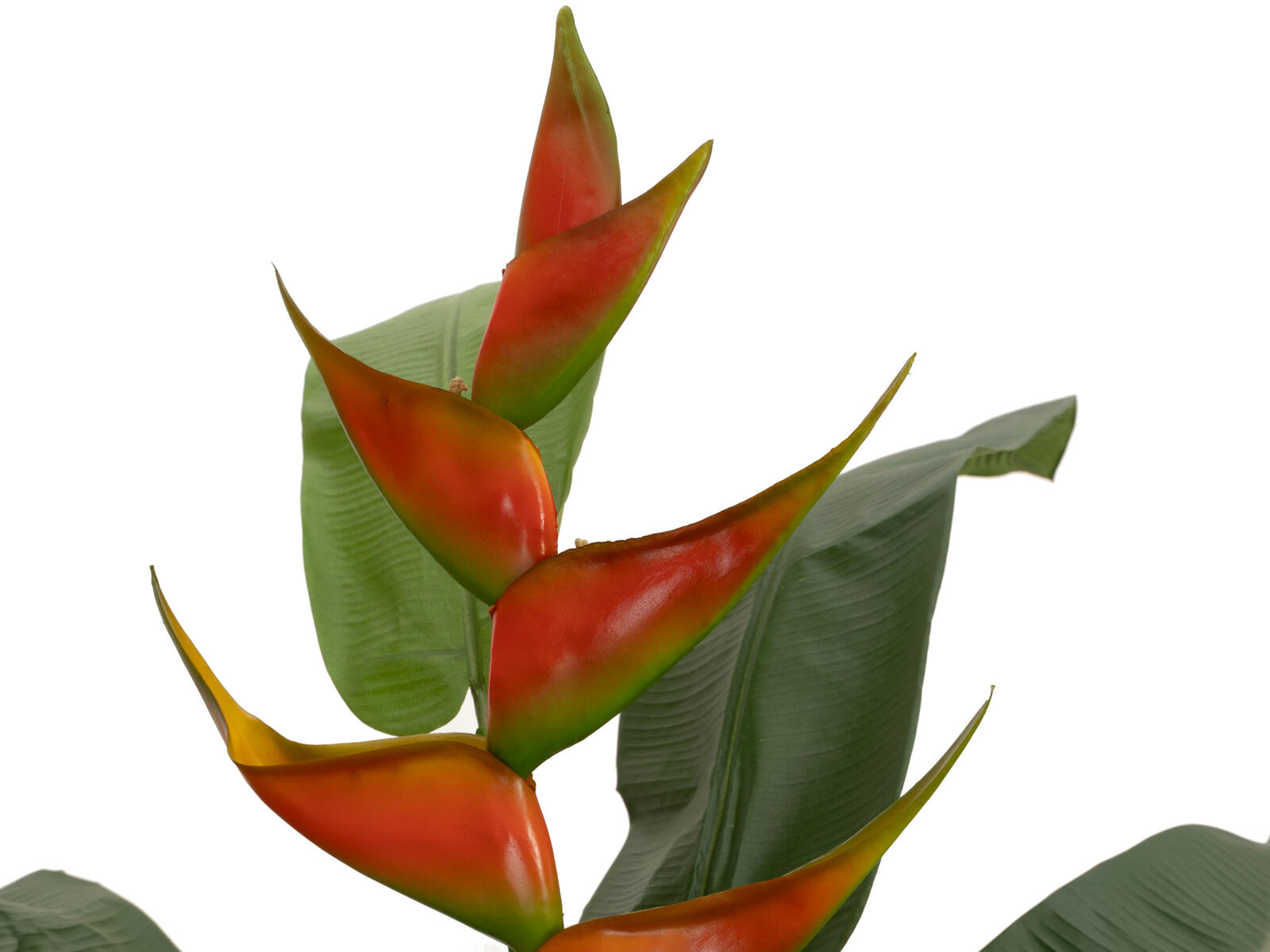 FIRESILX Helikonie, Kunstpflanze, B1 schwer entflammbar, 190cm