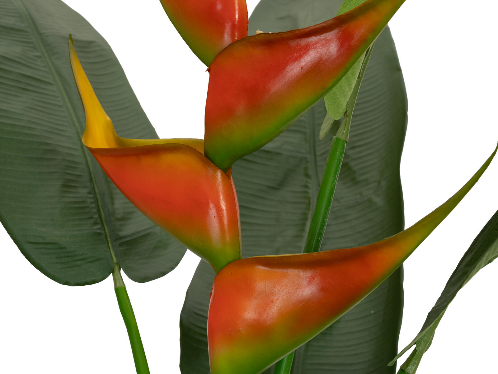 FIRESILX Helikonie, Kunstpflanze, B1 schwer entflammbar, 190cm