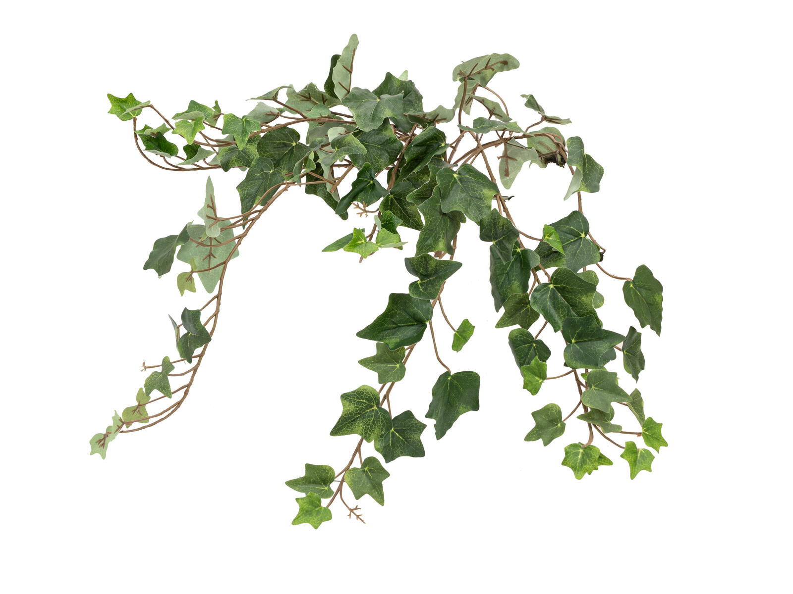 FIRESILX Efeubuschranke, künstlich, B1 schwer entflammbar, 60cm