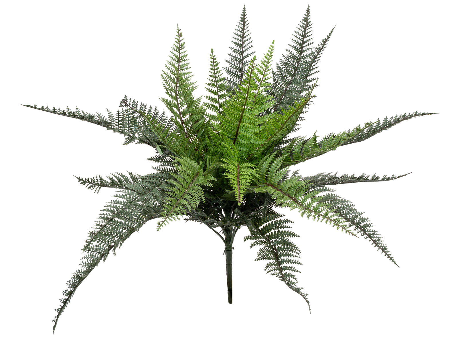 FIRESILX Boston Farn, Kunstpflanze, B1 schwer entflammbar, 50cm