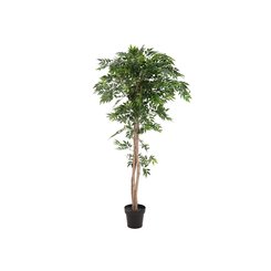 Ficus Longifolia, Kunstpflanze, europalms 165cm 