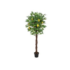 [Auf Bestellung gefertigte Produkte] Zitronenbaum, Kunstpflanze, europalms - 150cm