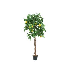 Zitronenbaum, Kunstpflanze, 180cm - europalms