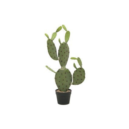 Artificial succulent with young light green shoots
