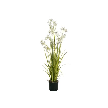 Flowering ornamental grass in decorative pot