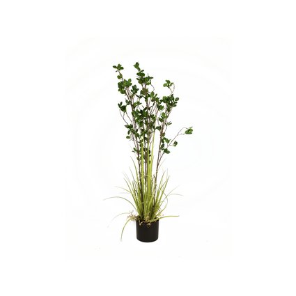 Evergreen arrangement in decorative pot