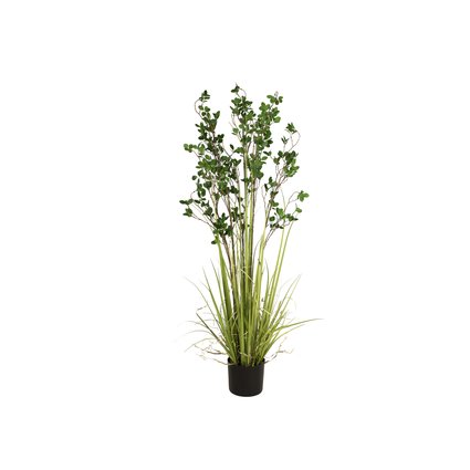Evergreen arrangement in decorative pot