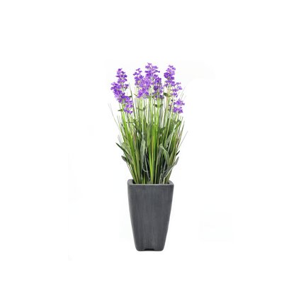 Small plant in a decorative pot for beautiful accents