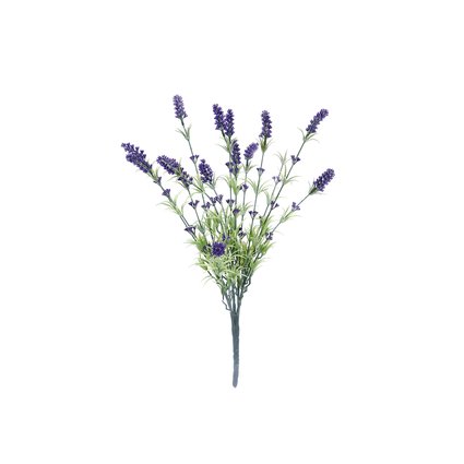 Lavender bush, tall