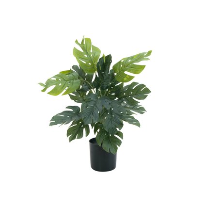 Split philodendron with leaves made of high-quality PEVA