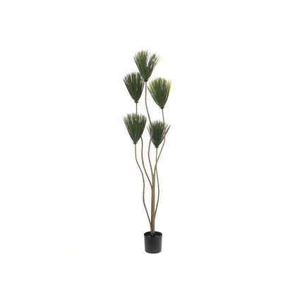 Easy-care papyrus plant made of PE