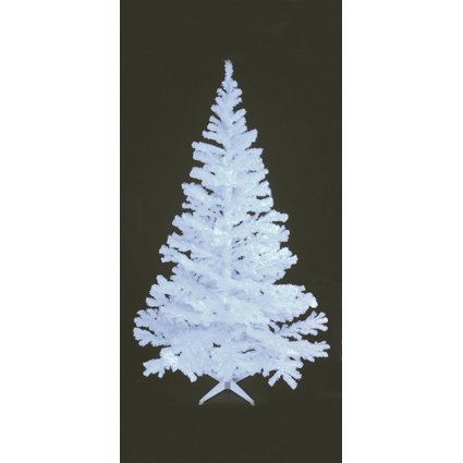 Classic fir tree in trendy color