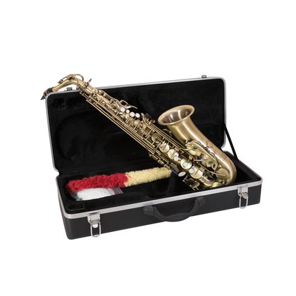 Classy alto saxophone with brushed finish