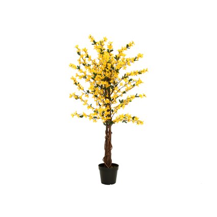 Blühender Forsythienbaum