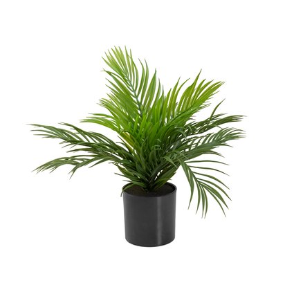 Young artificial areca palm from PE