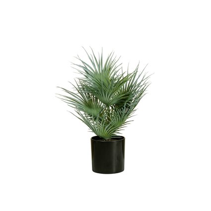 Artificial young fan palm made of PE
