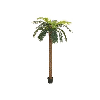 Impressive phoenix palm with fronds made of high-quality textile material